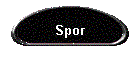 Spor