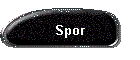 Spor