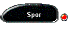 Spor